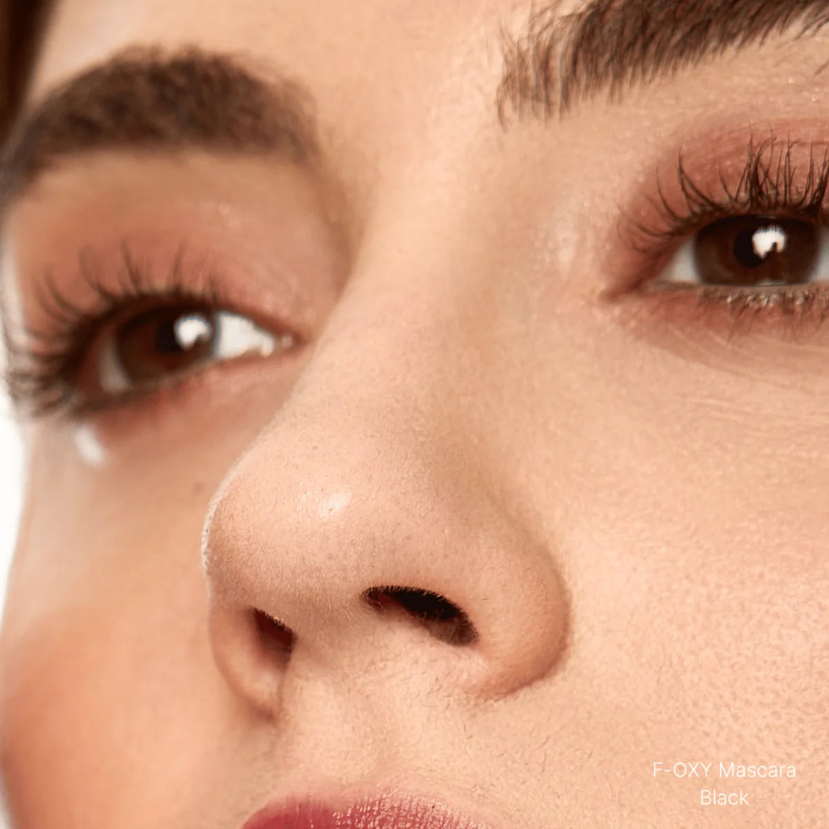 The Iconics Collection