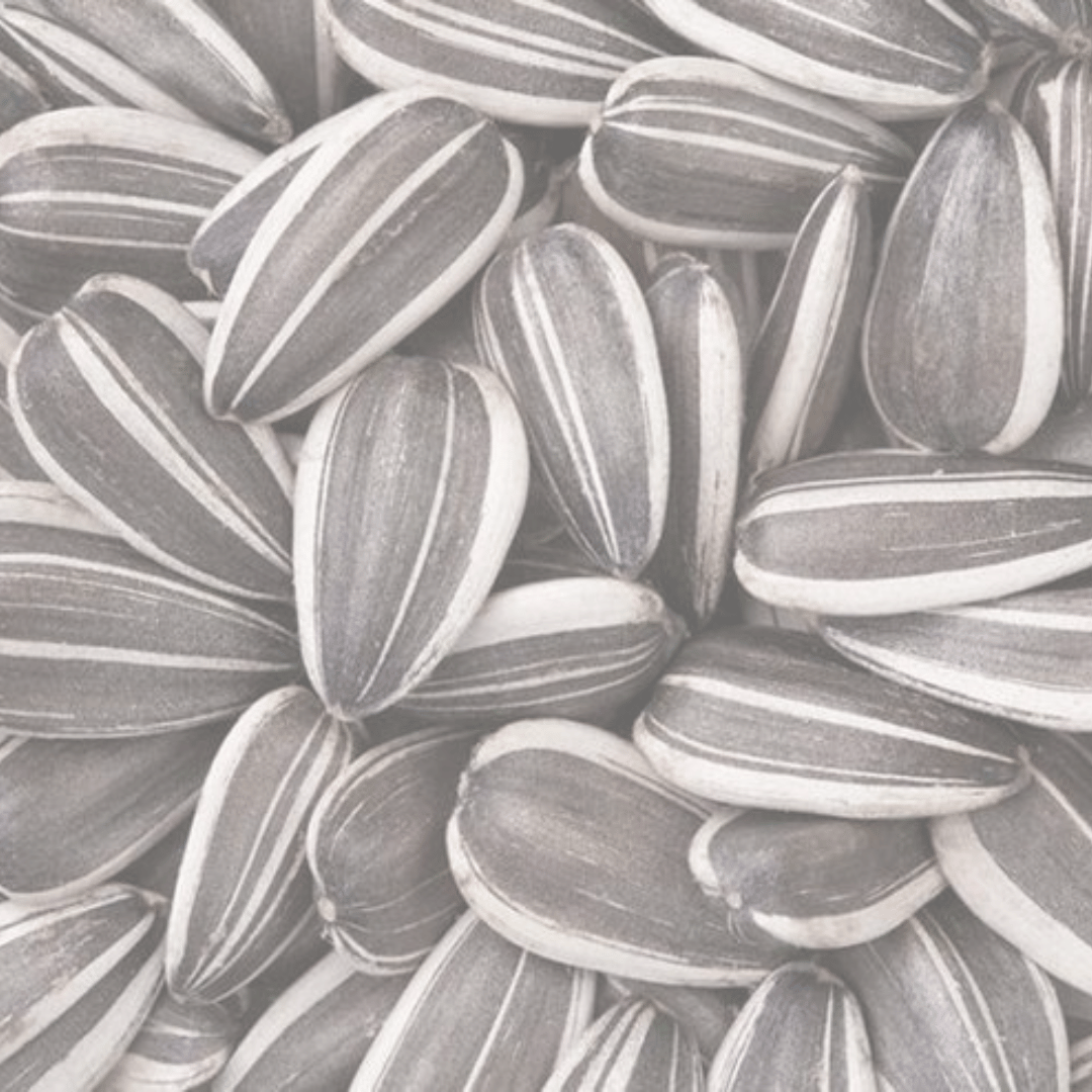 Sunflower Seed Oil
